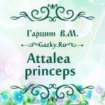 Картинка к сказке "Аttalea princeps" 🌼 Гаршин В.М.