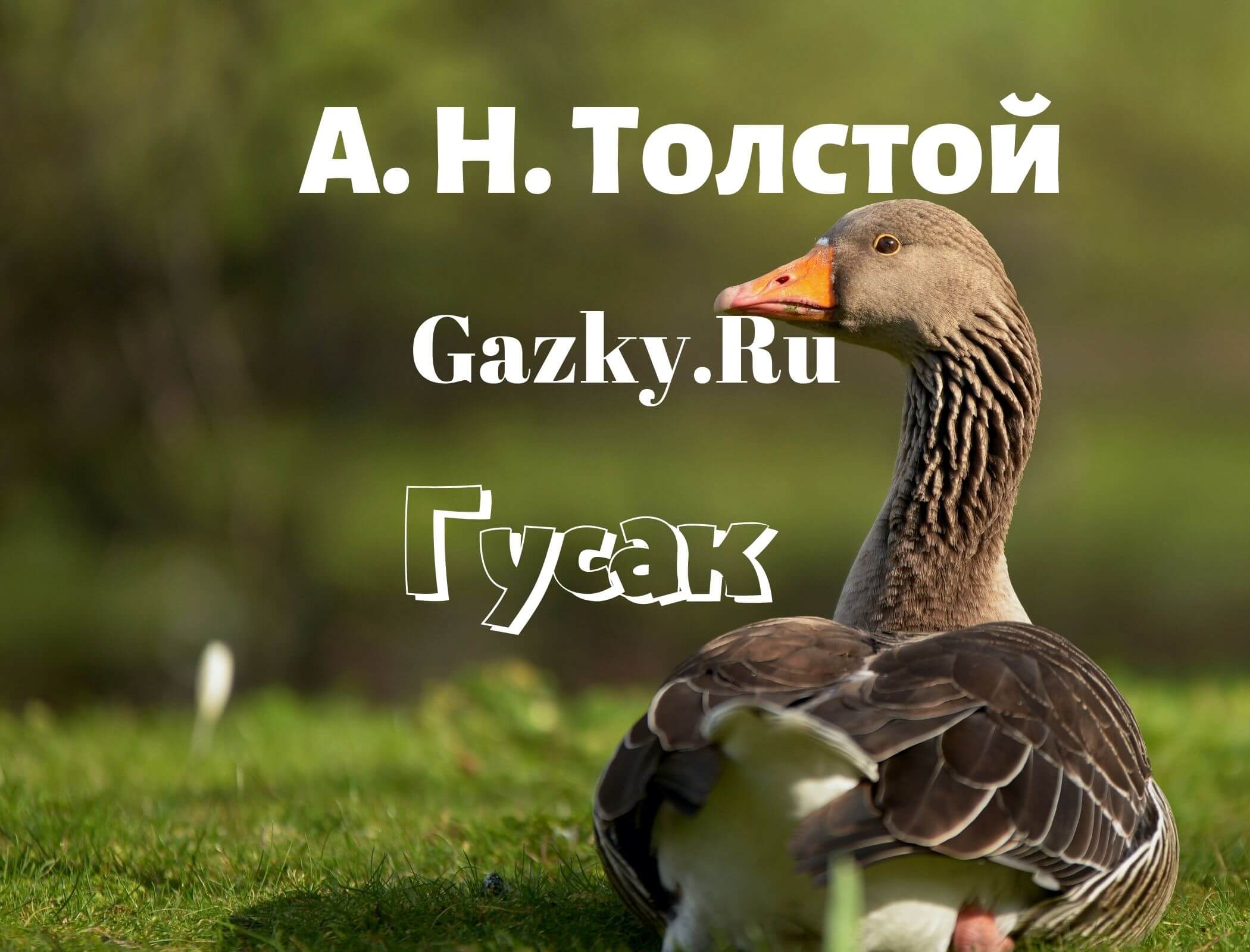 Сказка "Гусак" Алексея Толстого