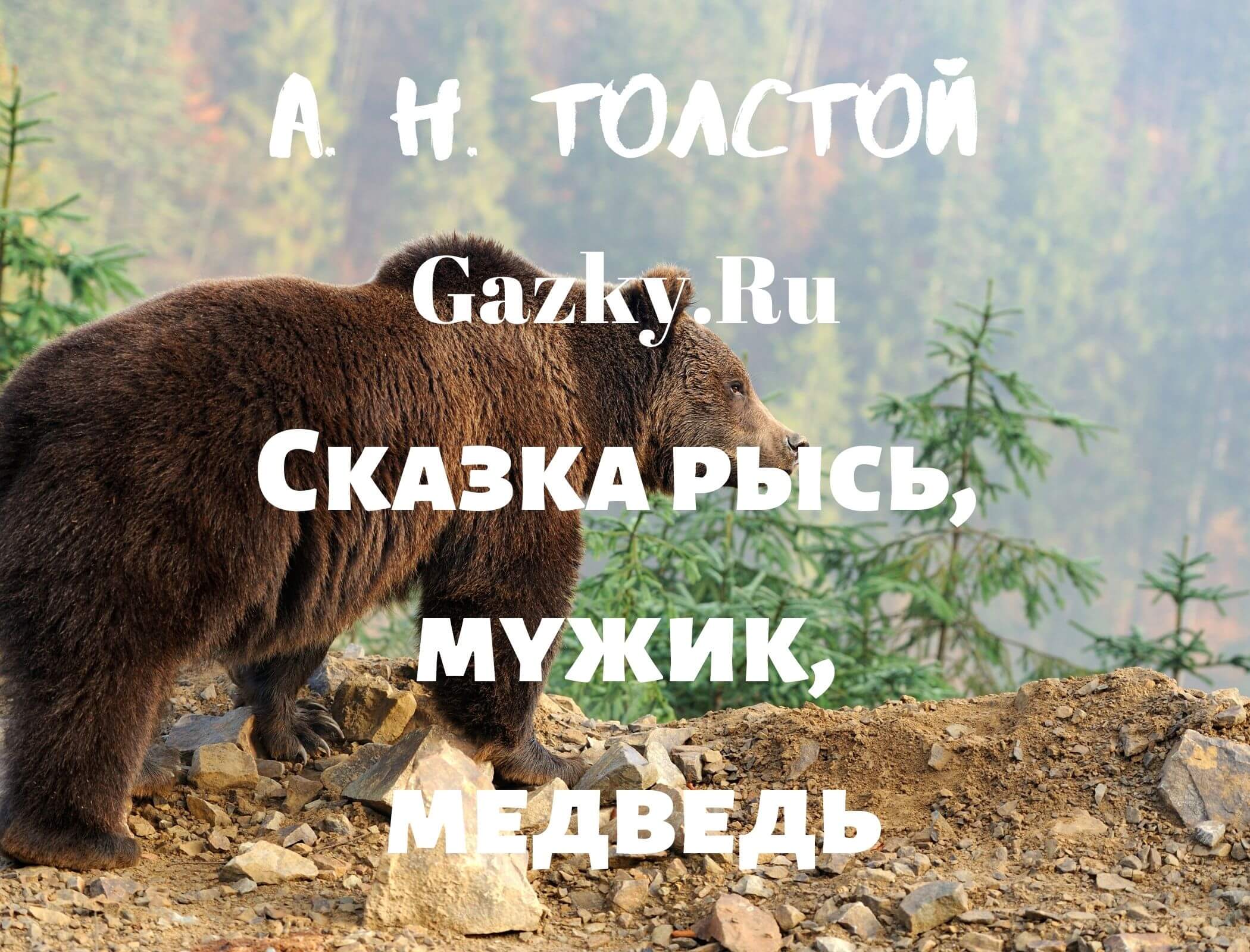 Толстой Алексей сказка Рысь, мужик, медведь Сказка Рысь, мужик, медведь Толстого А. Н.