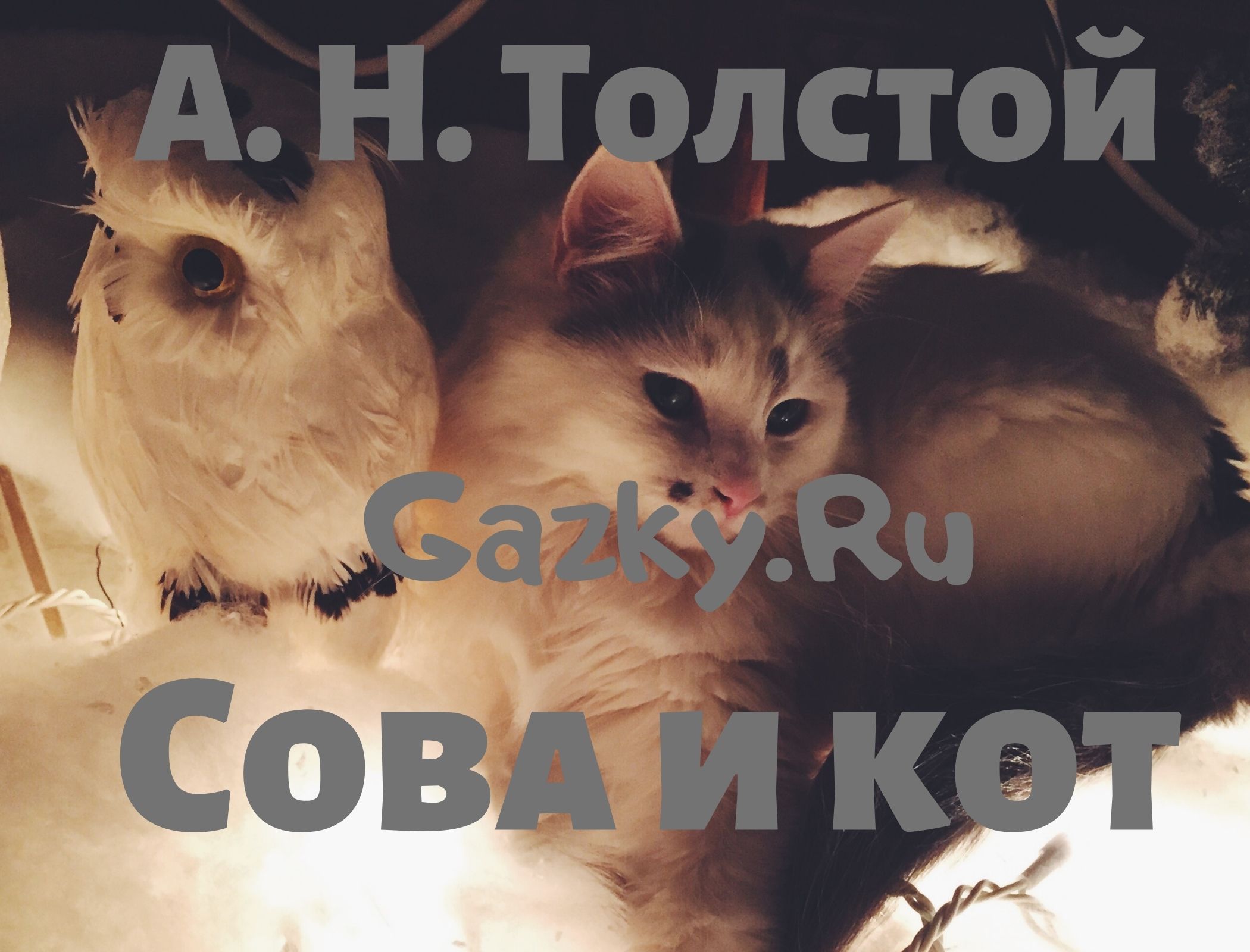 "Сова и кот" Толстого А. Н. Сказка Сова и кот Толстого Алексея Н.