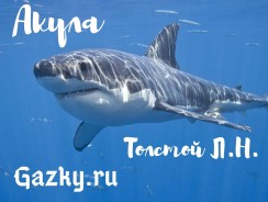 Акула 🦈 Толстой Л.Н.