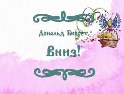 Вниз! ⬇ Дональд Биссет