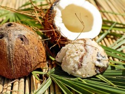 Кокосовая пальма и кокосовый орех 🥥 Американские народные