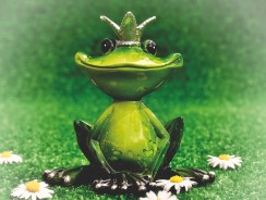 Король-лягушонок, или Железный Генрих 🐸 Братья Гримм