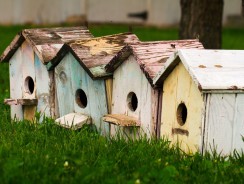 Лесные домишки 🌲 Бианки В. В.