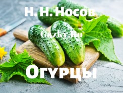 Огурцы 🥒 Носов Н.Н.