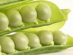 Пятеро из одного стручка 🌱 Андерсен Ганс Христиан