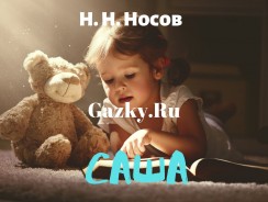 Саша 👱 Носов Н.Н.