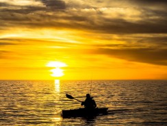 Сказка о рыбаке 🎣 Арабские народные