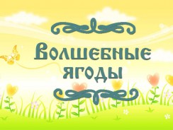 Волшебные ягоды 🎆 русская народная