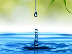 Живая вода 💦 Братья Гримм